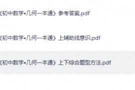 2027《初中数学•几何一本通》上下册